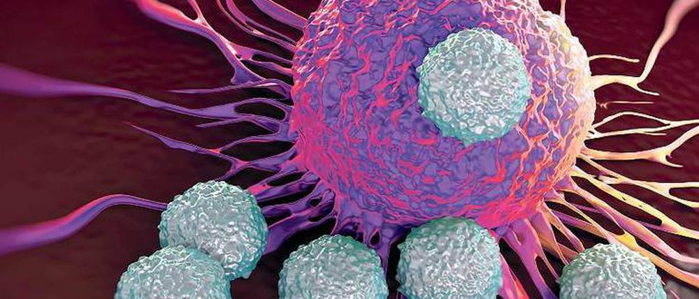 Eine Impfung mit RNS-Molekülen kann der Körperabwehr helfen, Tumoren schneller zu erkennen und zu bekämpfen – wie in dieser Abbildung, wo mehrere Immunzellen eine Krebszelle angreifen. 