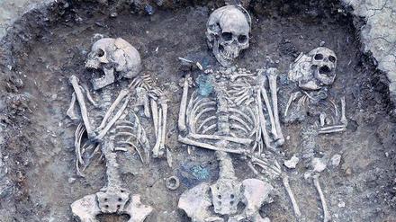 Gemeinsam begraben. Drei Menschen angelsächsischen Ursprungs aus dem 5. bis 6. Jahrhundert fanden ihre letzte Ruhestätte auf einem Friedhof im ostenglischen Oakington.