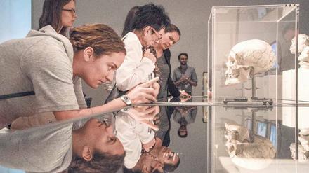Museumsbesucher blicken auf eine Vitrinie, in der ein menschlicher Schädel zu sehen ist. Dahinter sind Bildschirme zu sehen.