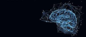 Neuronale Netzwerke kommunizieren über elektrische Impulse.