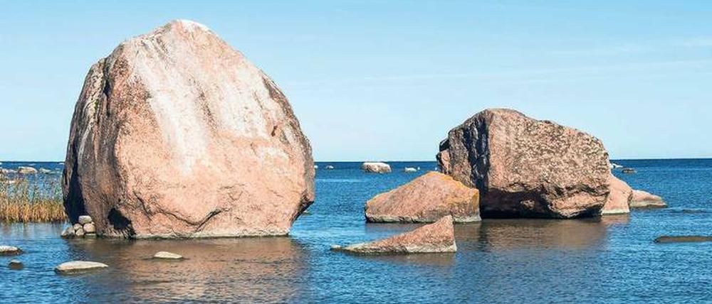 Zeugen der Eiszeit. Große Felsen, Findlinge genannt – hier am Finnischen Meerbusen – wurden von Gletschern in südliche Gefilde transportiert. 