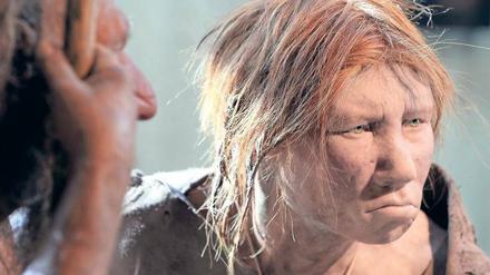 Ebenbild. Die Neandertaler haben den heutigen Menschen manches vererbt. Ob sie allerdings rote Haare hatten, wie in der Rekonstruktion einer Neandertalerin im Neanderthal-Museum bei Mettmann, ist nach neuen Analysen eher fraglich. 