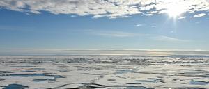 Über der Arktis wurden in den vergangenen Wochen Temperaturen gemessen, die 20 Grad über den üblichen Werten liegen.