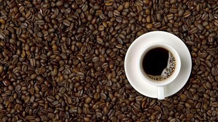 Koffein hilft gegen Stress