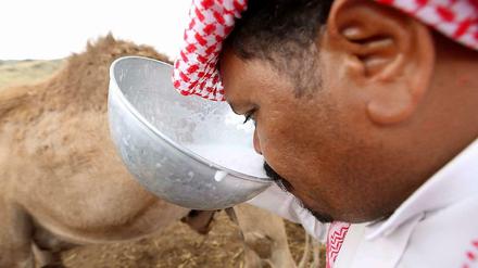 Keime und Kamele. Frische Kamelmilch mit Gästen zu teilen, ist auf der Arabischen Halbinsel Tradition. Die Milch kann allerdings das Coronavirus Mers enthalten.