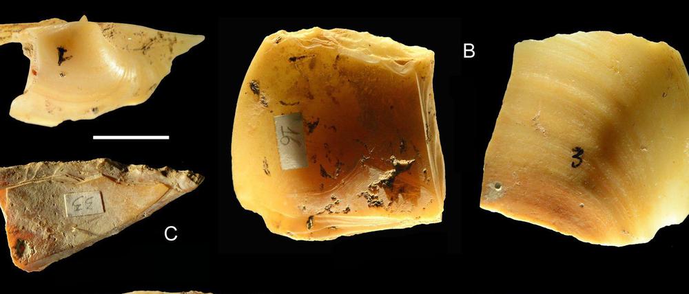 Neandertaler sammelten und tauchten nach Muscheln nicht nur, um sie zu essen, sondern auch um die Schalen als Werkzeuge zu verwenden.