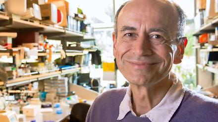Geehrt. Thomas Südhof erforscht in Stanford die Kommunikation zwischen Nervenzellen.
