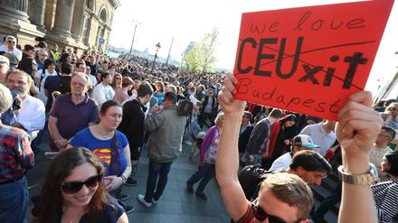 Eine Demonstration für den Erhalt der CEU im Sommer in Budapest.