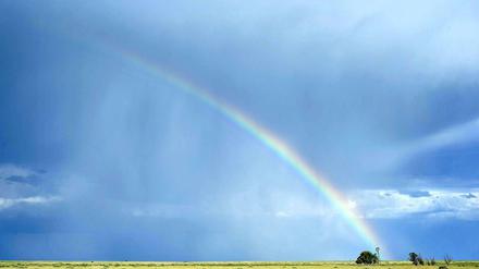 Flüchtige Farben. Während eines Gewitters spannt sich ein Regenbogen über dem flachen Horizont des ländlichen New Mexico, USA.