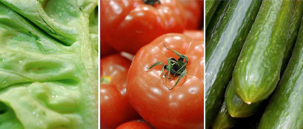Das Robert Koch-Institut warnt davor, rohe Tomaten, Salatgurken und Blattsalate aus Norddeutschland zu essen.