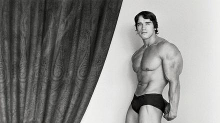 Ganz so viele Muskeln hat Arnold Schwarzenegger inzwischen nicht mehr. Denn Muskeln schwinden nicht nur im Zuge von Erkrankungen wie Muskeldystrophie sondern auch beim Altern. Neue Therapien könnten dem Muskelschwund entgegenwirken. 