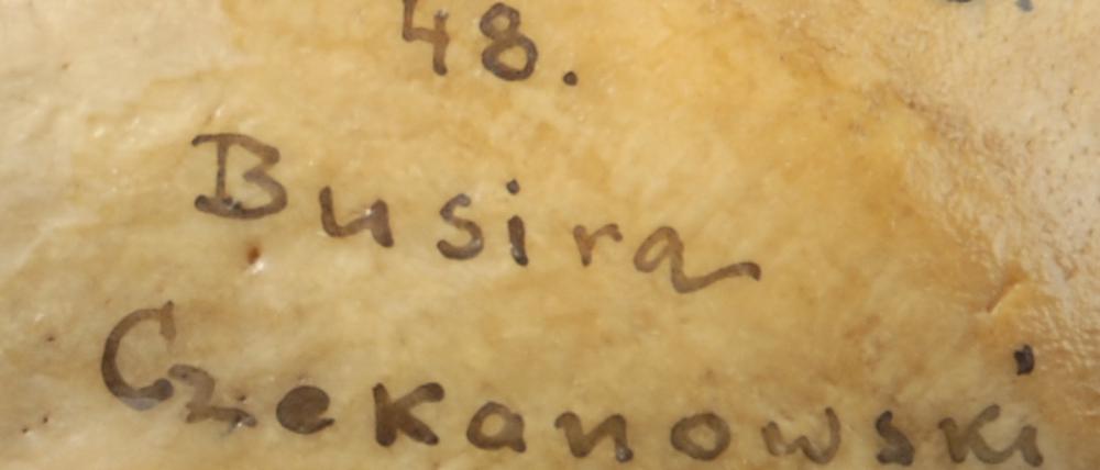 Signatur auf einem Schädelfragment, unter anderem mit dem Schriftzug Czekanowski und den Jahreszahlen 1907 bis 1909.