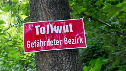 "Tollwut - Gefährdeter Bezirk" steht auf dem roten Warnschild, das an den Baum genagelt ist.