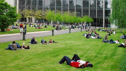 Studierende sitzen vor einem Universitätsgebäude auf Rasenflächen.