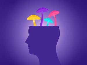 „Magic Mushrooms“ bringen nicht nur menschliche Gehirne durcheinander.