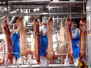 In der Fleischverarbeitung sind in Deutschland besonders viele Menschen aus anderen Ländern beschäftigt.