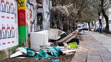 Die Beseitigung und Entsorgung von illegalem Müll kostet das Land Berlin inzwischen weit mehr als zehn Millionen Euro im Jahr.