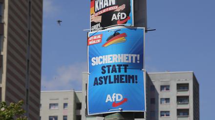 Wahlplakat AfD in Potsdam