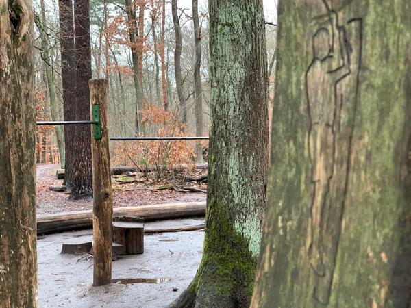 Der Waldspielplatz mit eingeritzten Zeichen und Erklärungen im Holz.