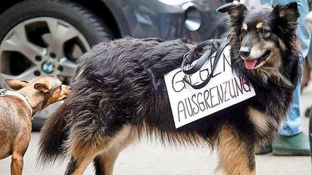 Nach dem Urteil des Verwaltungsgerichts gegen die Pläne des Bezirks, befürchtet die Hundeinitiative "Berliner Schnauze" ein "Hundeverbot durch die Hintertür".