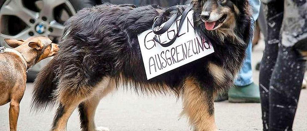 Nach dem Urteil des Verwaltungsgerichts gegen die Pläne des Bezirks, befürchtet die Hundeinitiative "Berliner Schnauze" ein "Hundeverbot durch die Hintertür".