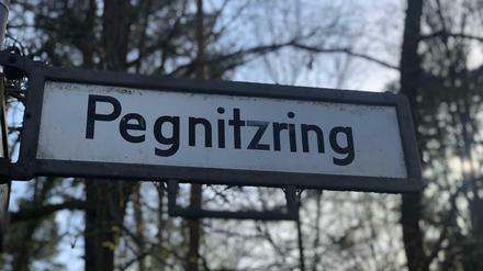 Schöne Grüße nach Bayern. Auch den Pegnitzring gibt es in Berlin-Kladow. Aber warum?