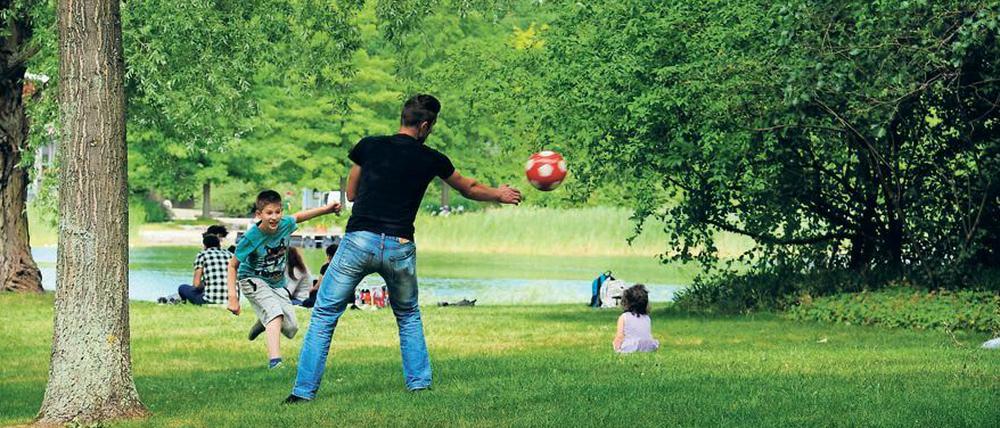 Normalerweise fliegen im Britzer Garten nur normale und keine Pokémon-Bälle.