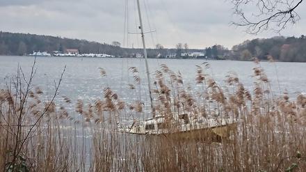 Dieses Foto machten Tagesspiegel-Leser 2020 vom Ufer. Im Hintergrund ist Insel Schwanwerder.
