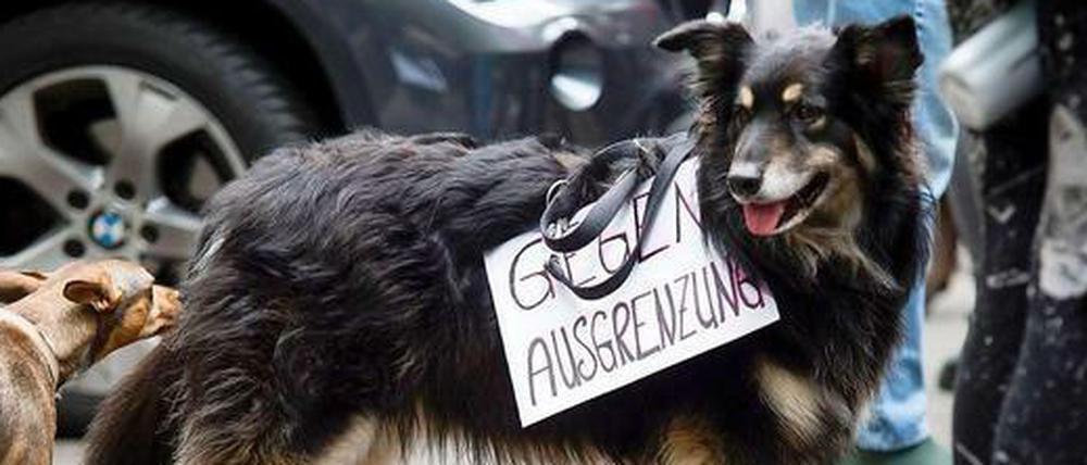 Hundebesitzer fühlen sich und ihre verbeinigen Freunde wegen des Hundeverbots ausgegrenzt, hier ein Bild von einer Demonstration im Mai 2015. Ein Antragsteller hat nun zwei Eilanträge beim Verwaltungsgericht Berlin eingereicht
