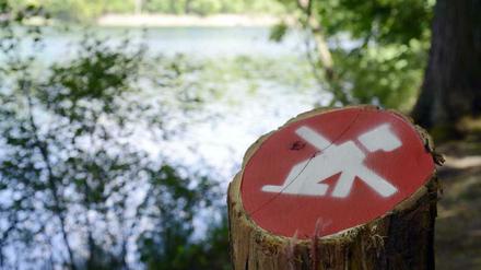 Das Hundeverbot an Zehlendorfer Seen ruft Obrigkeitsdenken hervor, findet unsere Autorin. Für sie ist der soziale Frieden im Wald wegen des Verbots gestört 