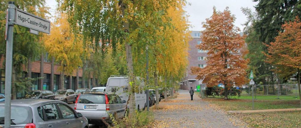 In der Hugo-Cassirer-Straße müssen 14 Birken-Pappeln gefällt werden.