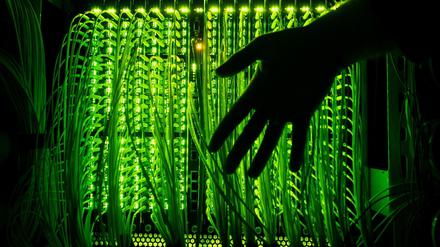 Ein Mann hält seine Hand vor einen Verteilerpunkt, in dem zahlreiche Glasfaserkabel unter anderem zur Übertragung von Hochgeschwindigkeitsinternet zusammenlaufen. 
