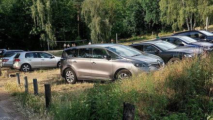 Autofahrer haben einen Holzpflock aus dem Boden gerissen und parken in einem Feld am Glienicker See in Berlin-Kladow.