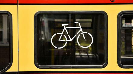 Mit dem Fahrrad im Norden Berlins unterwegs: Was sollte sich für Pendler zur S-Bahn verbessern?