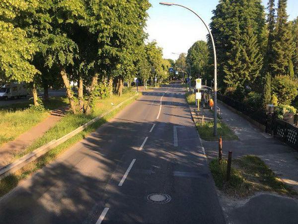 Der Ritterfelddamm wird ausgebaut. Mit Fußweg, Radweg, Versickerungsbecken - wäre dann noch Platz für Bäume?