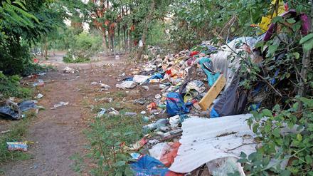 So sah das bisherige Roma-Camp am Mittwoch aus. Die Zelte sind weg, aber noch nicht alle Müllberge abgetragen.
