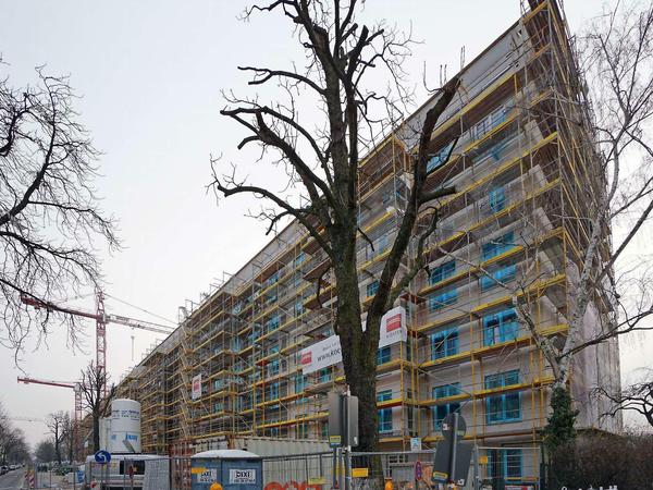 Das erste Wohnungsbauprojekt in der Seesener Straße läuft schon. Nebenan ist nun das nächste geplant.
