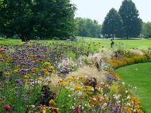 Besondere Spaziergänge im Britzer Garten : Hilfe für Menschen, die um Angehörige oder Freunde trauern