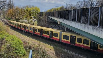 Ein neuer Zug der neuesten S-Bahn-Baureihe 483/484 in Berlin (April 2021).