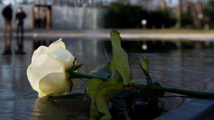 Symbol des Wiederstands: Eine weiße Rose liegt vor dem Denkmal der im Holocaust ermordeten Sinti und Roma.