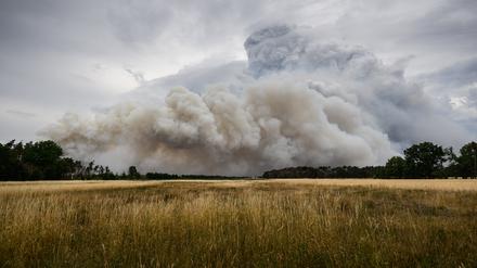 Rauch steigt aus einem Waldbrandgebiet in der Gohrischheide in den Himmel.