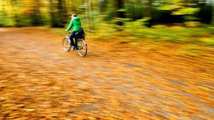 Schön anzusehen ist das Bunt auf den Straßen ja. Aber das Herbstlaub macht das Fahrrad fahren etwas kniffliger.