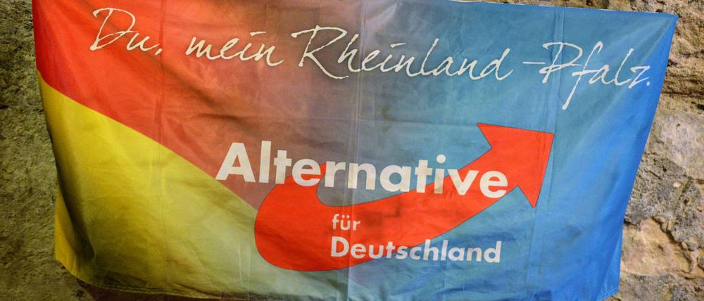 Die AfD Rheinland-Pfalz bezahlt Mitglieder für ihre Teilnahme an einer Demonstration in Berlin.