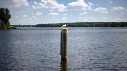 Der trockene Juni hatte in Brandenburg für niedrige Wasserstände gesorgt. Nun erholen sich die Gewässer wieder.