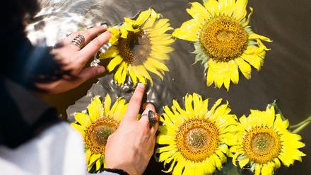 „Sunflowers“ heißt das Bild von Sofia Chybisova.