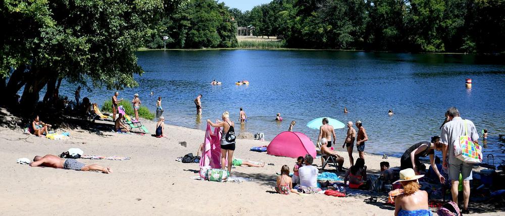 An dem heißesten Tag des Jahres zieht es viele Berliner an den See. Doch sind die Gewässer ungefährlich?