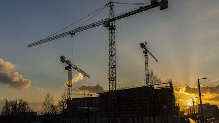 Ein Bild, das seltener wird: Baukräne in Berlin.