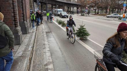 Weihnachtsbäume am Straßenrand - mal anders. Hier als Protest gegen schmale Fahrradstreifen.