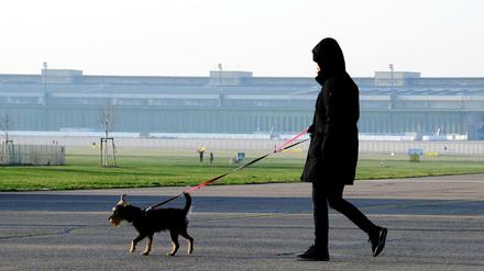 Bei Minusgraden machen die Menschen am Sonntagnachmittag einen Spaziergang auf dem Tempelhofer Feld in Berlin, aufgenommen am 3. Januar 2015. Foto: Kitty Kleist-Heinrich