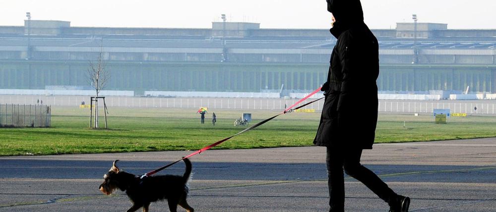 Bei Minusgraden machen die Menschen am Sonntagnachmittag einen Spaziergang auf dem Tempelhofer Feld in Berlin, aufgenommen am 3. Januar 2015. Foto: Kitty Kleist-Heinrich